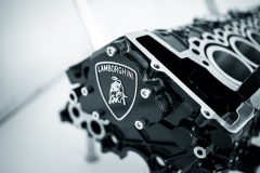 Lambo 6